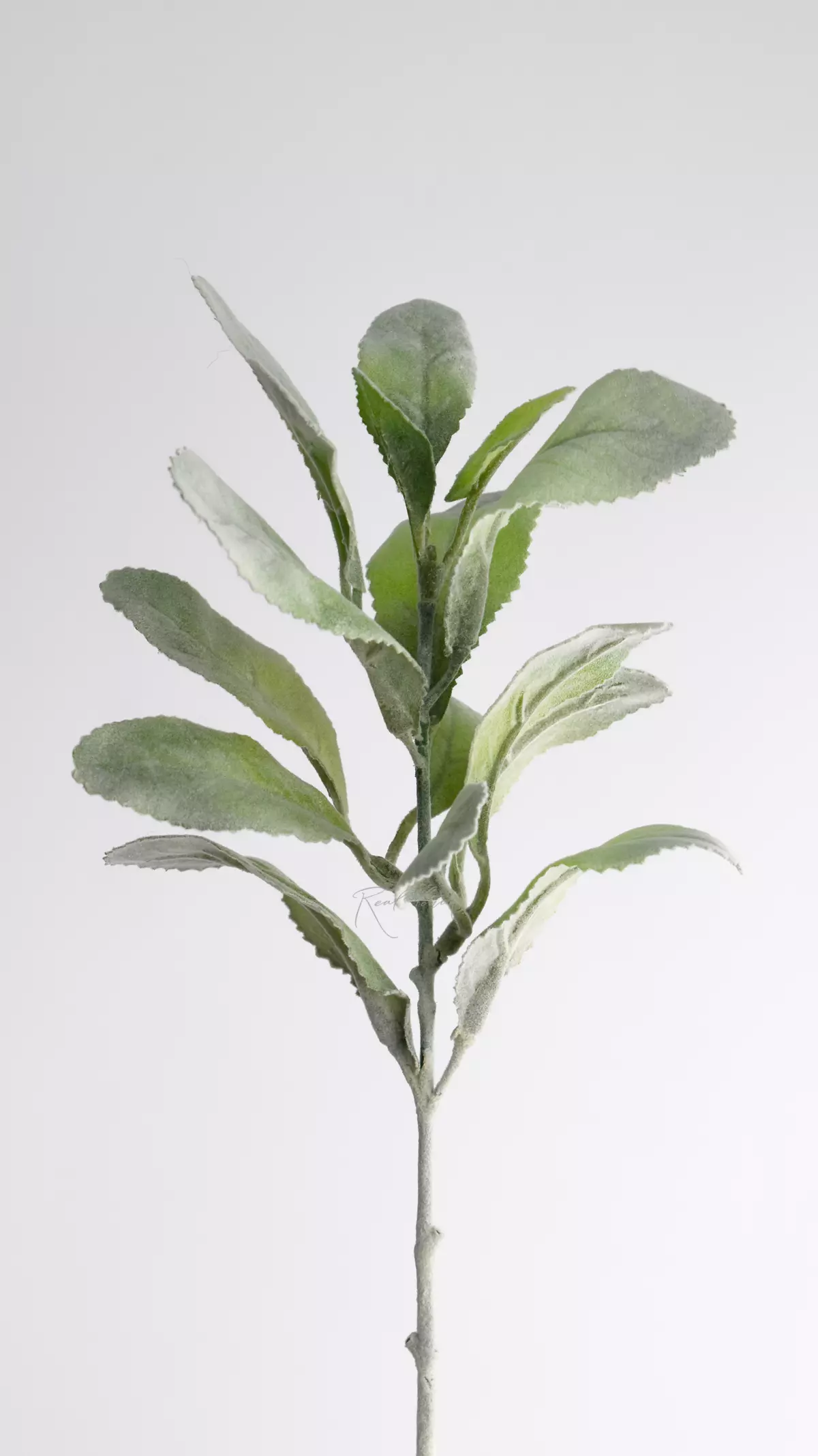 Artificial Lamb's Ears Stachys  - dusty green