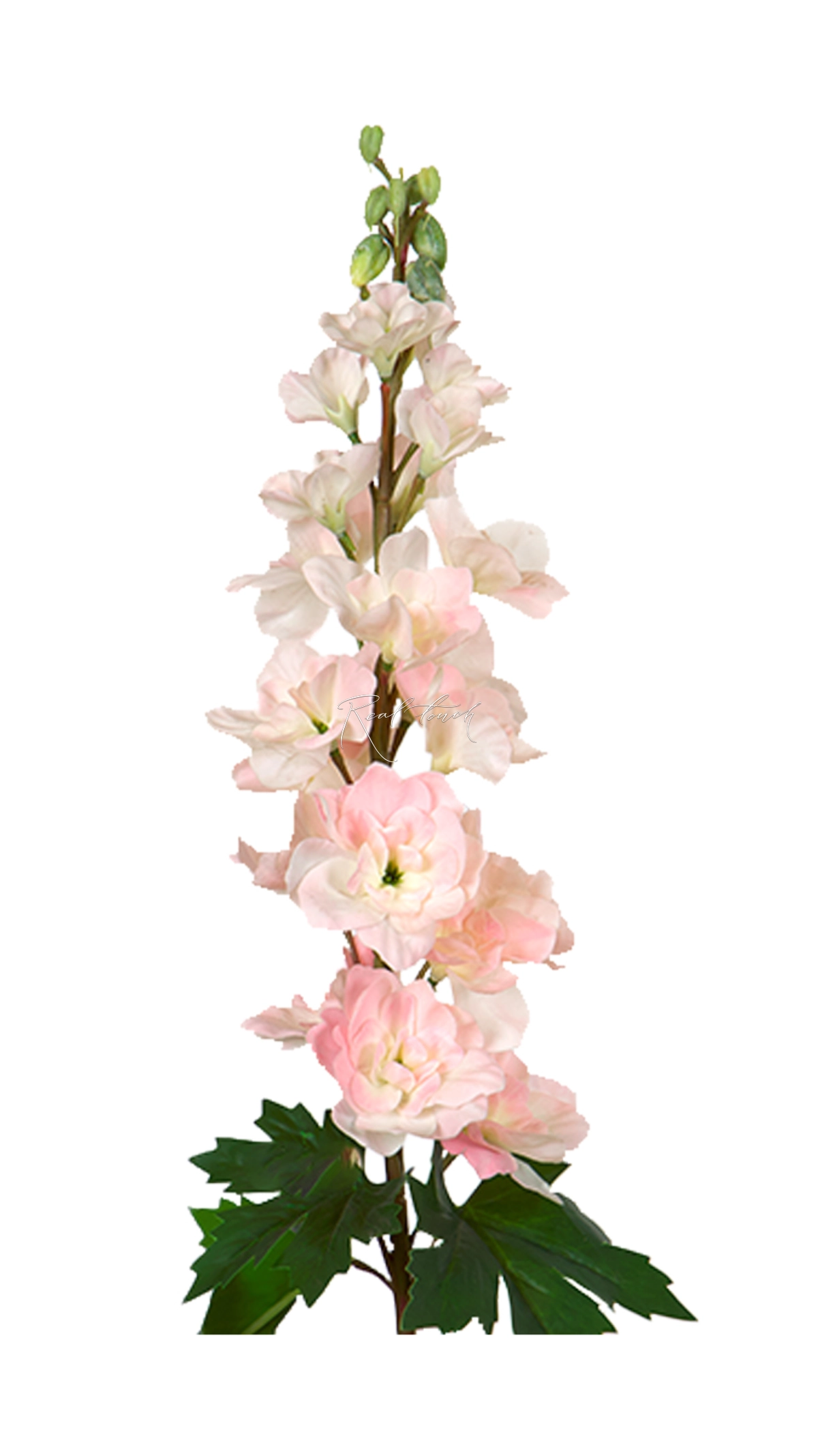 Delphinium small - light pink