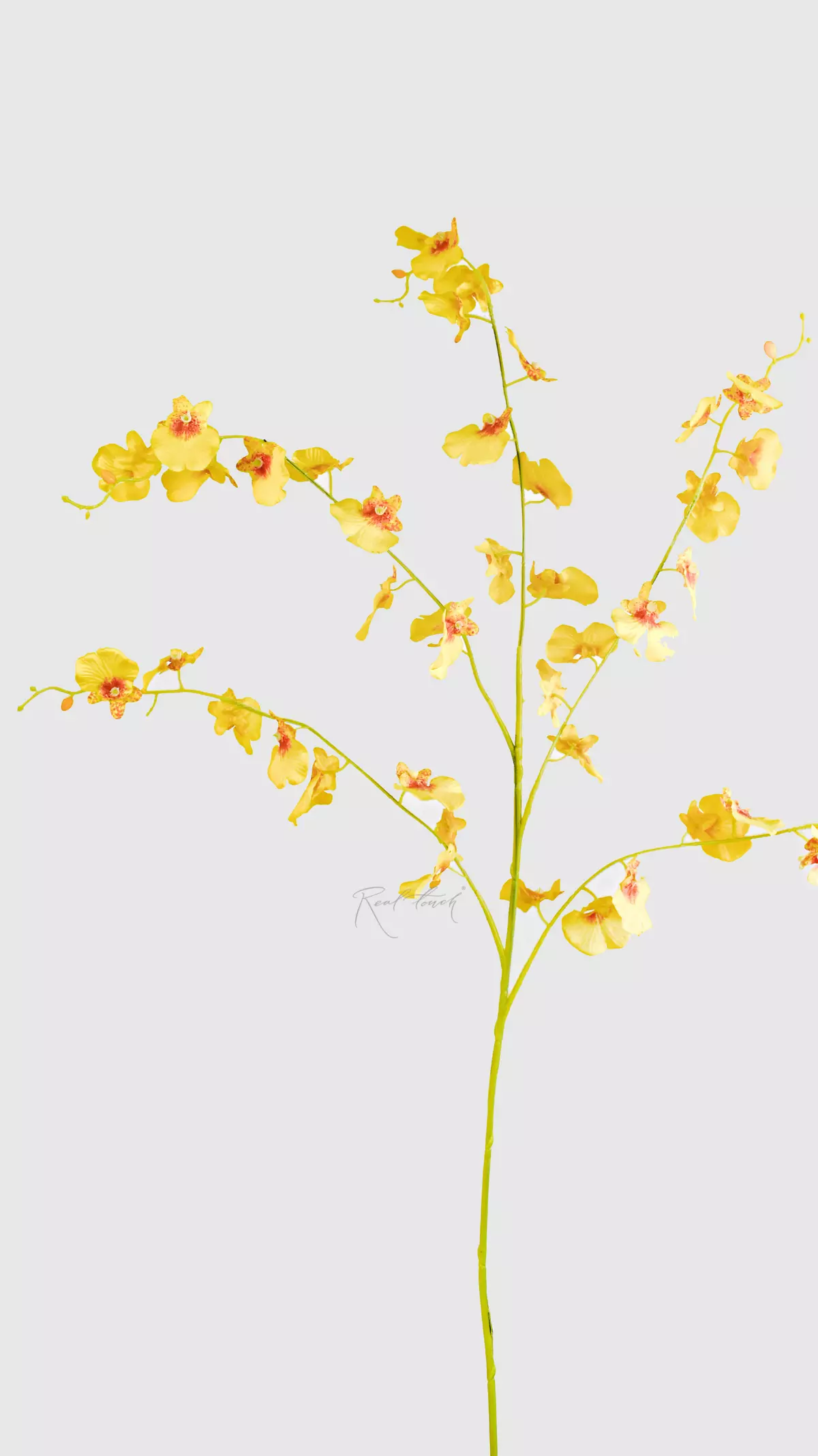 Real Touch Dancing Orchid (5 springs) - yellow