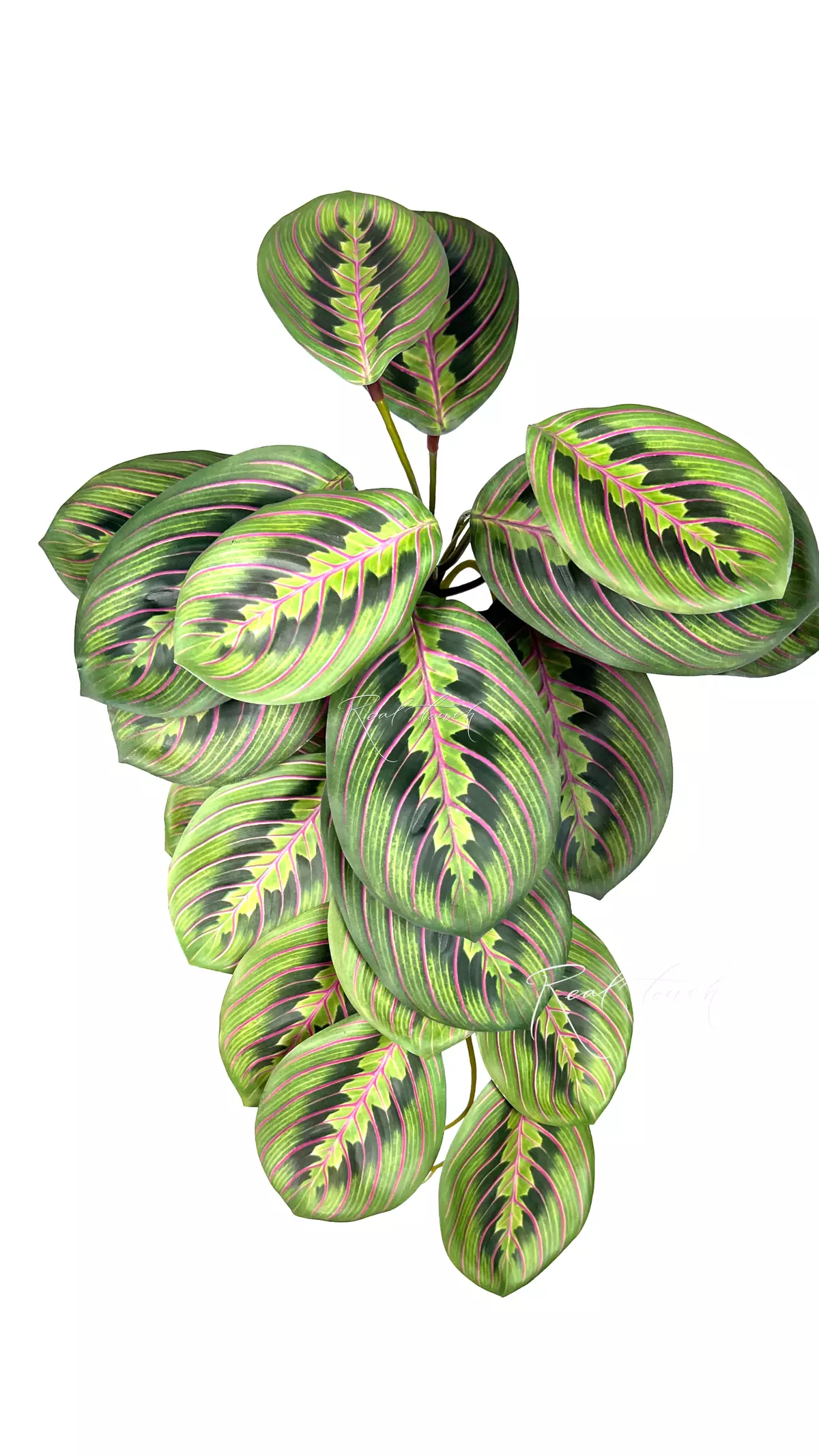 Bush 22 leaves - light green