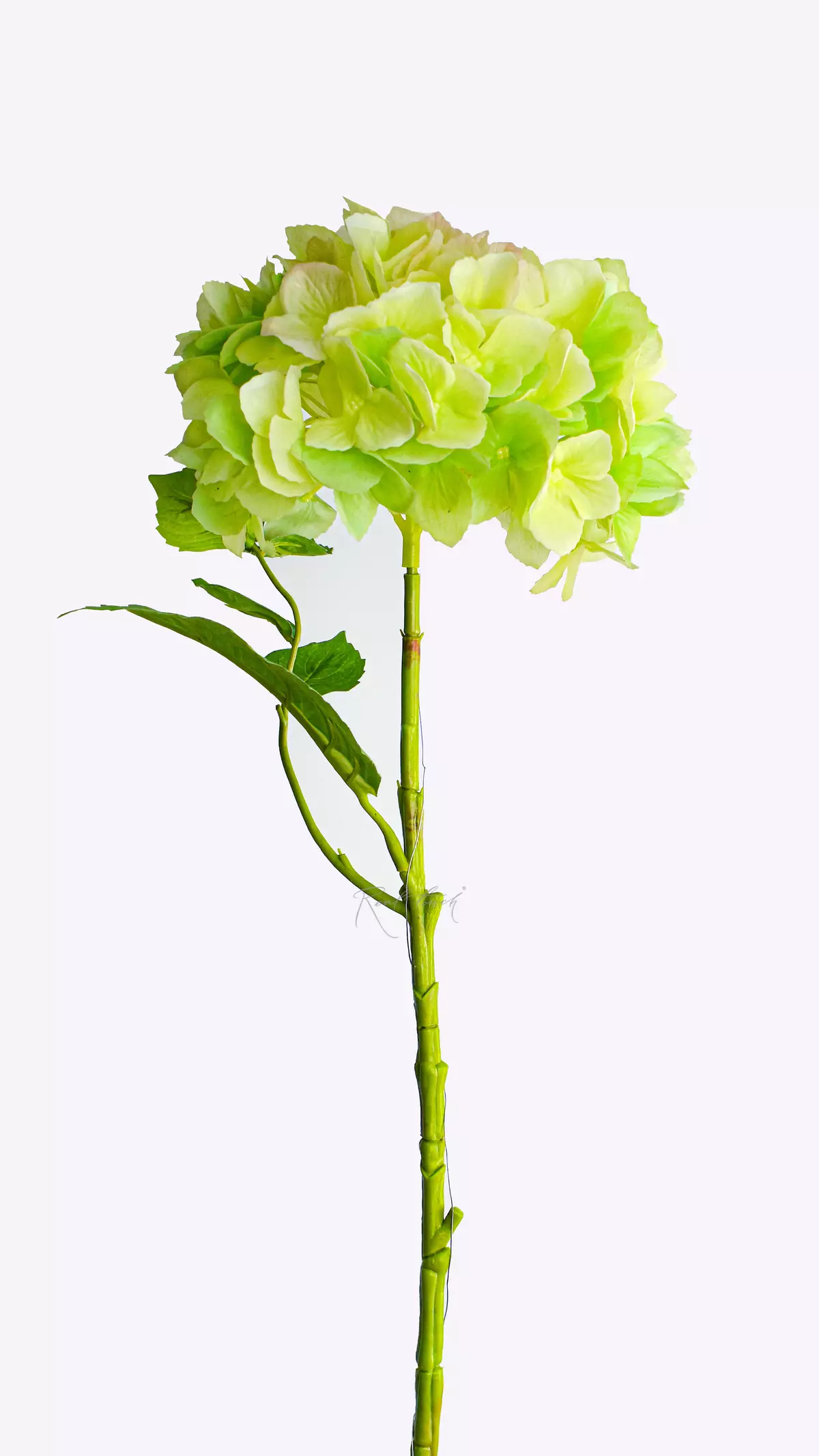 Real Touch Serrated hydrangea (with stem) - green