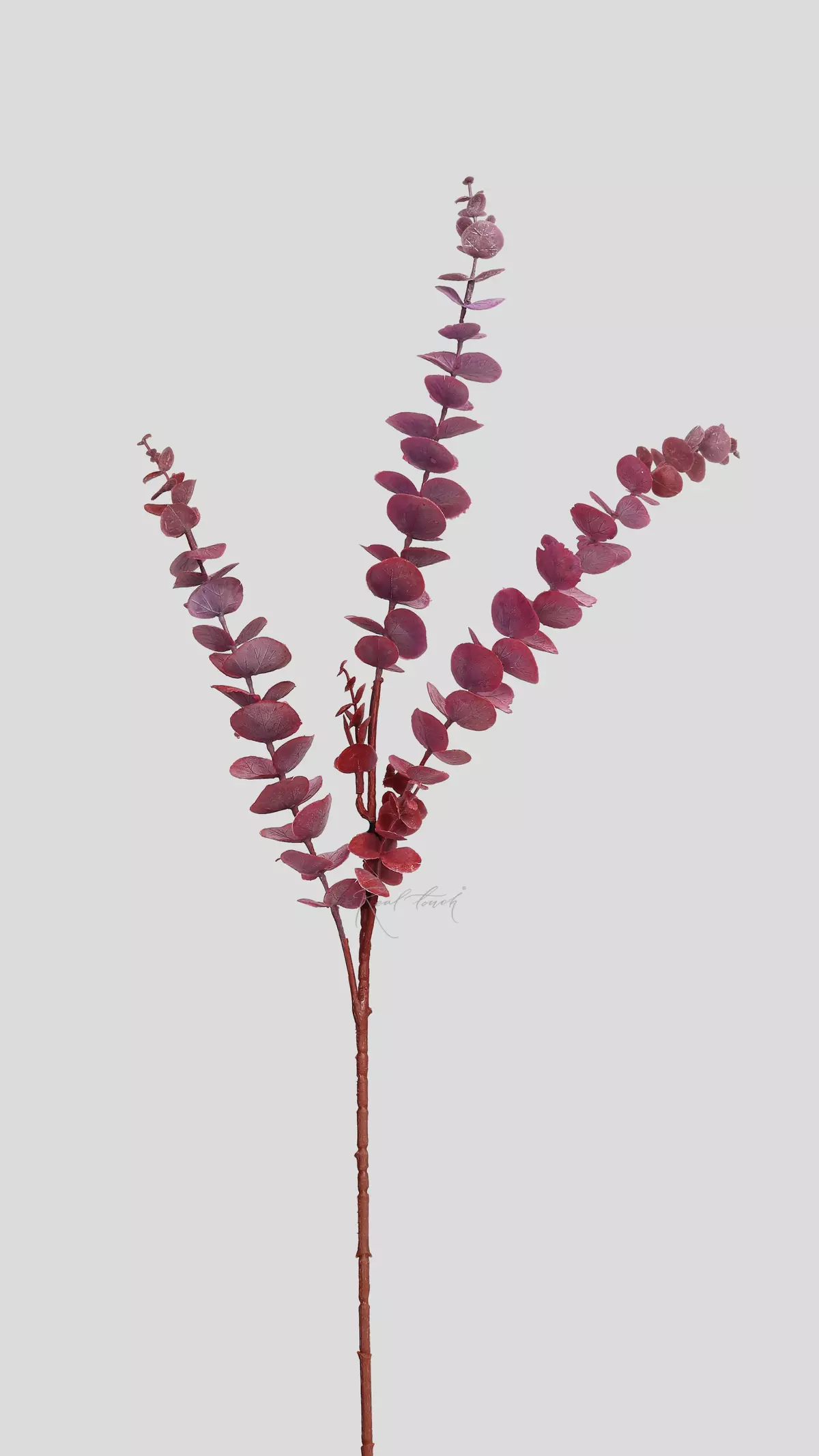 Real Touch Baby Blue Eucalyptus branch - red