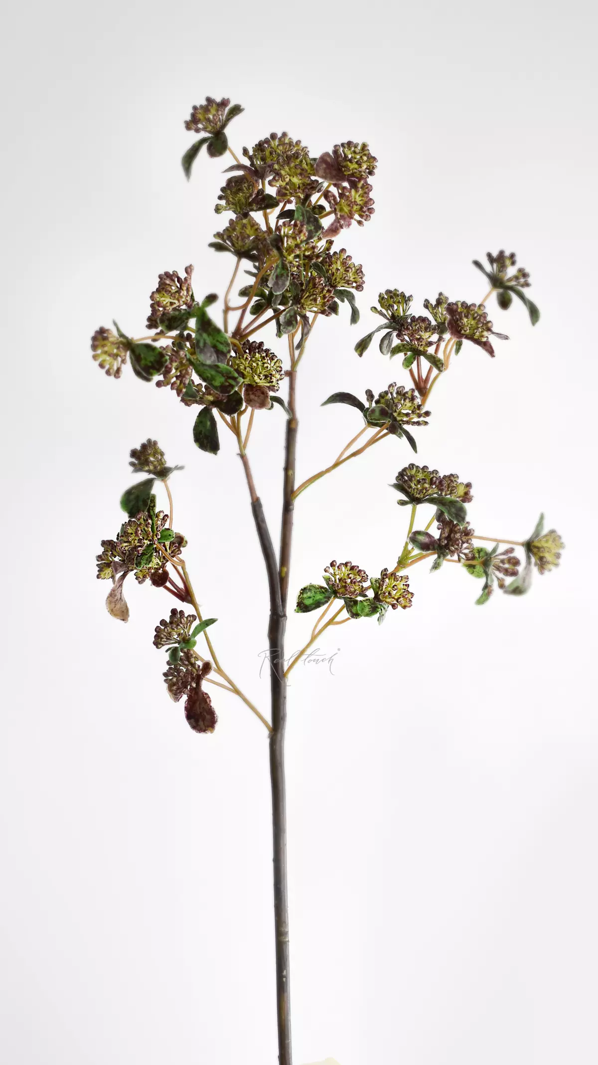 Real Touch Oregano branch  - Brown