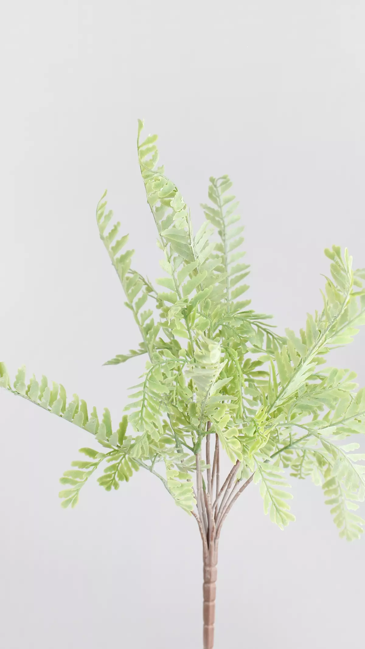 Real Touch greenery Adiantum pedatum  - dusty green