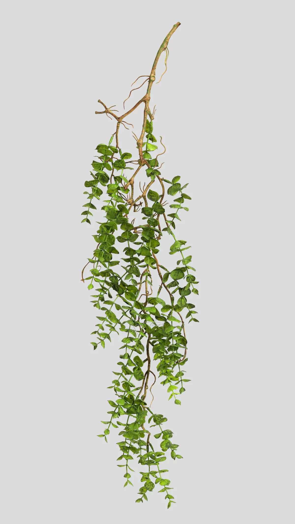 Real Touch Hanging Portulacaria - green
