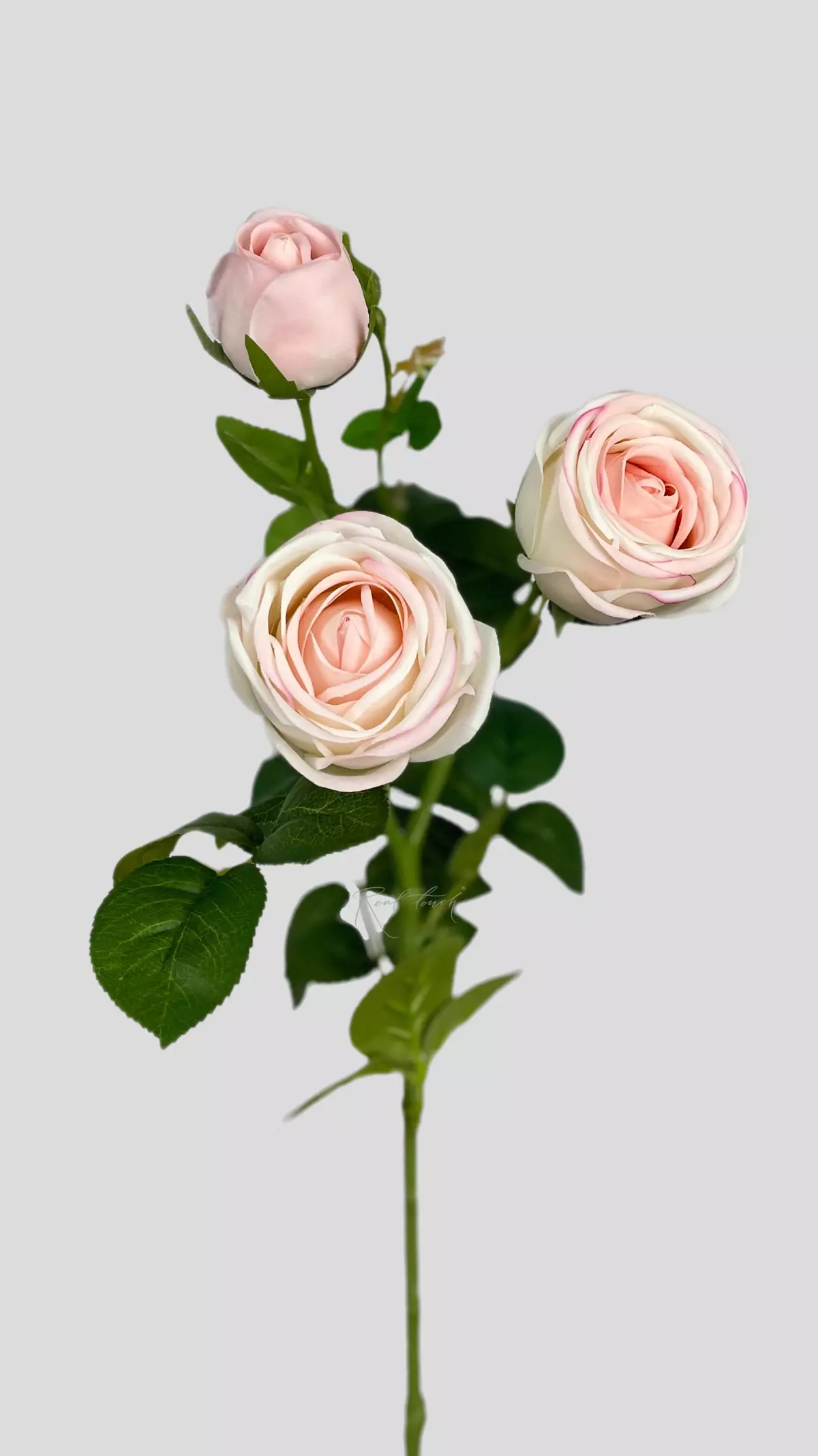 Real Touch Peony Rose 3+1 - cream pink