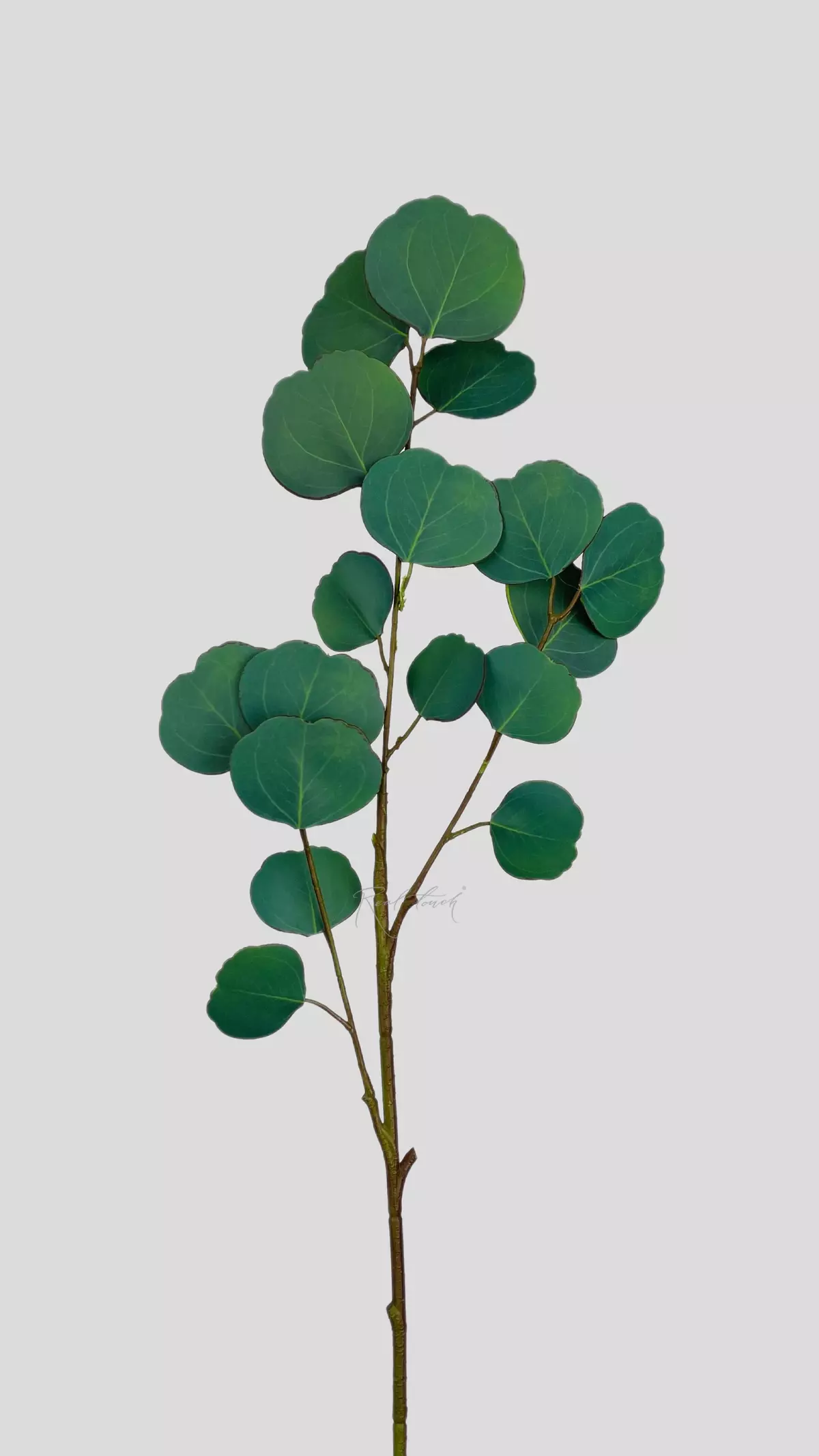 Real Touch Eucalyptus Silver Dollar small branch - green