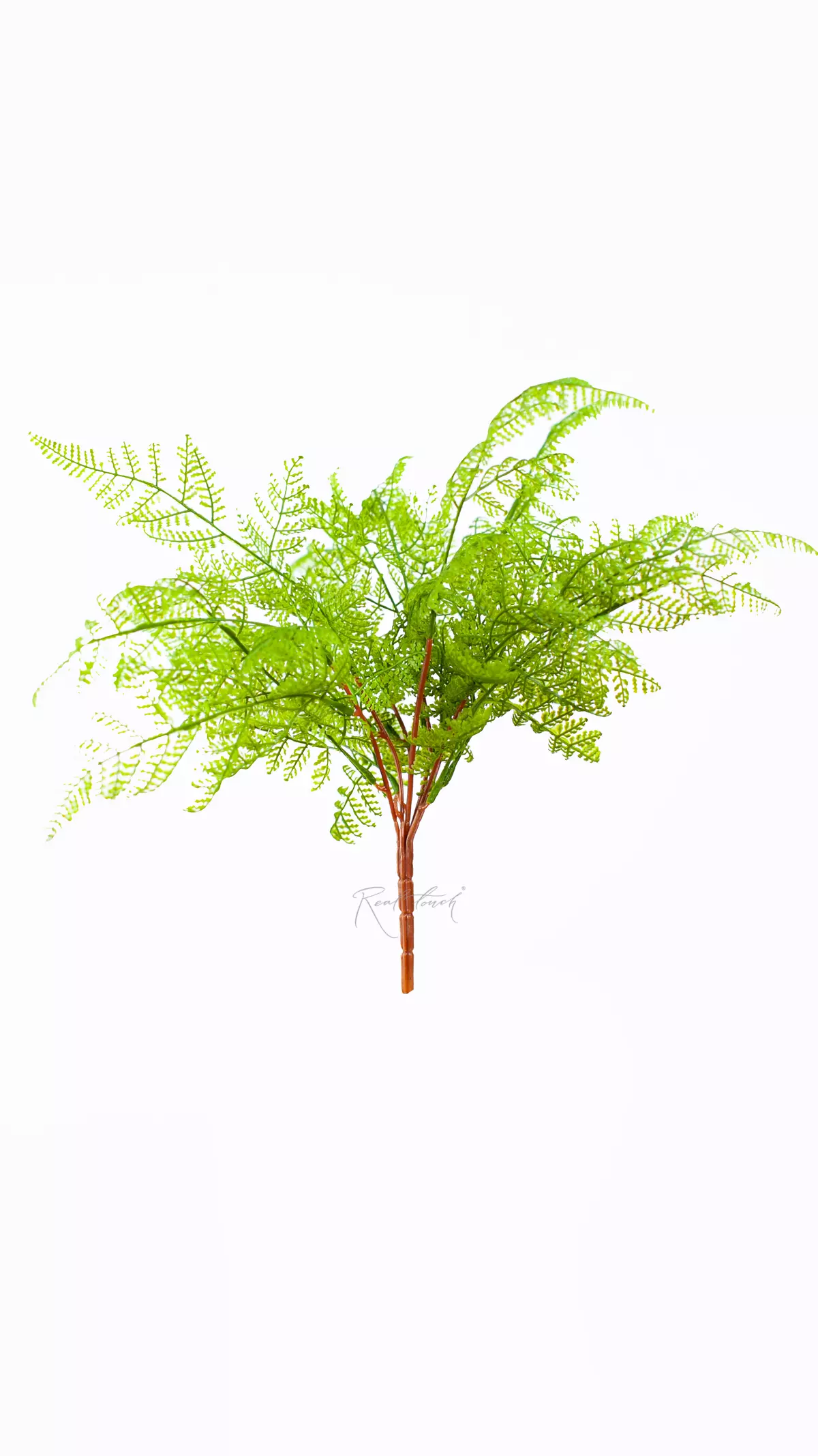 Real Touch Alpine Bulblet Fern  - green