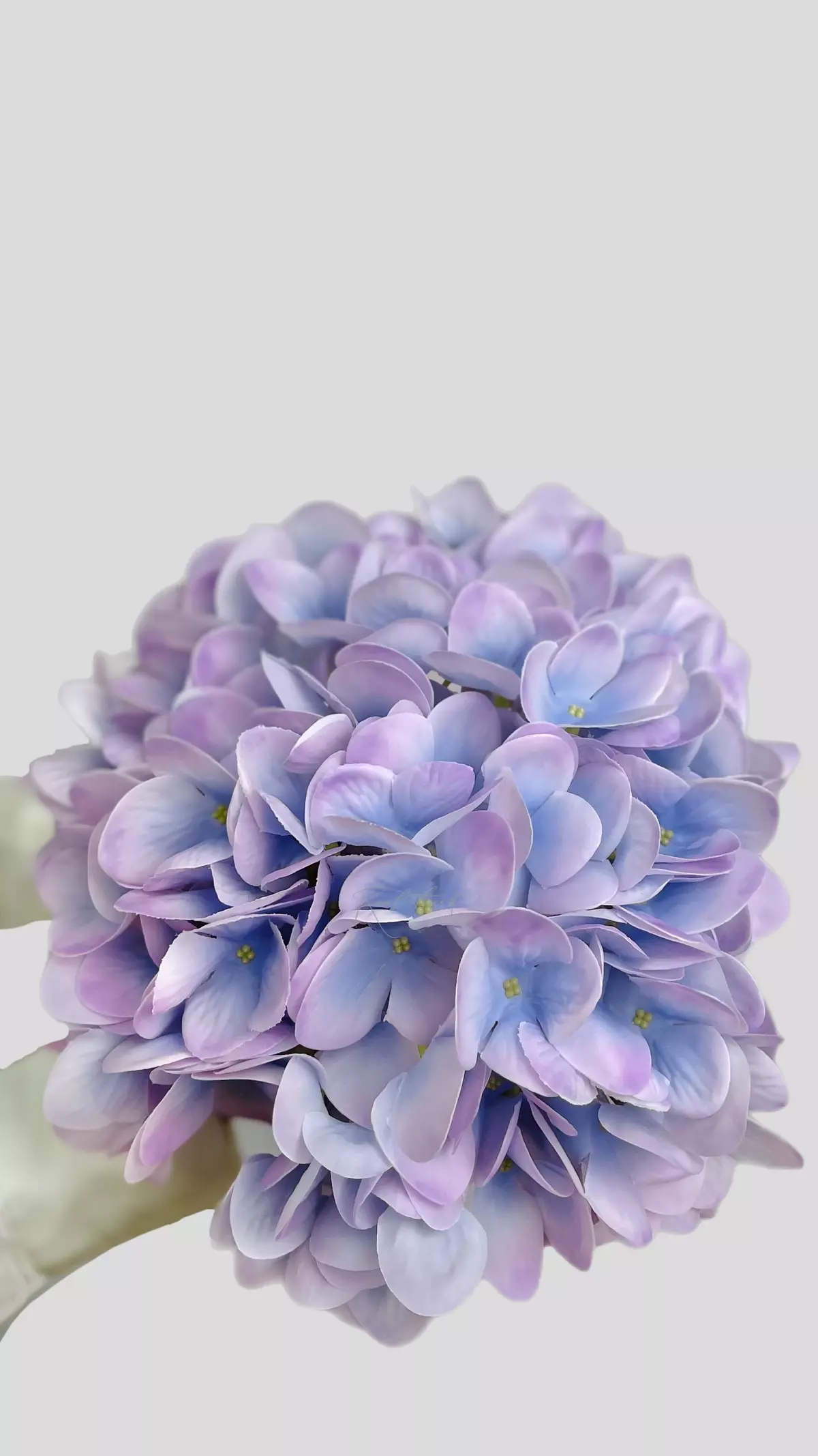 Real Touch Hydrangea Flower XL (without stem) - lilac blue