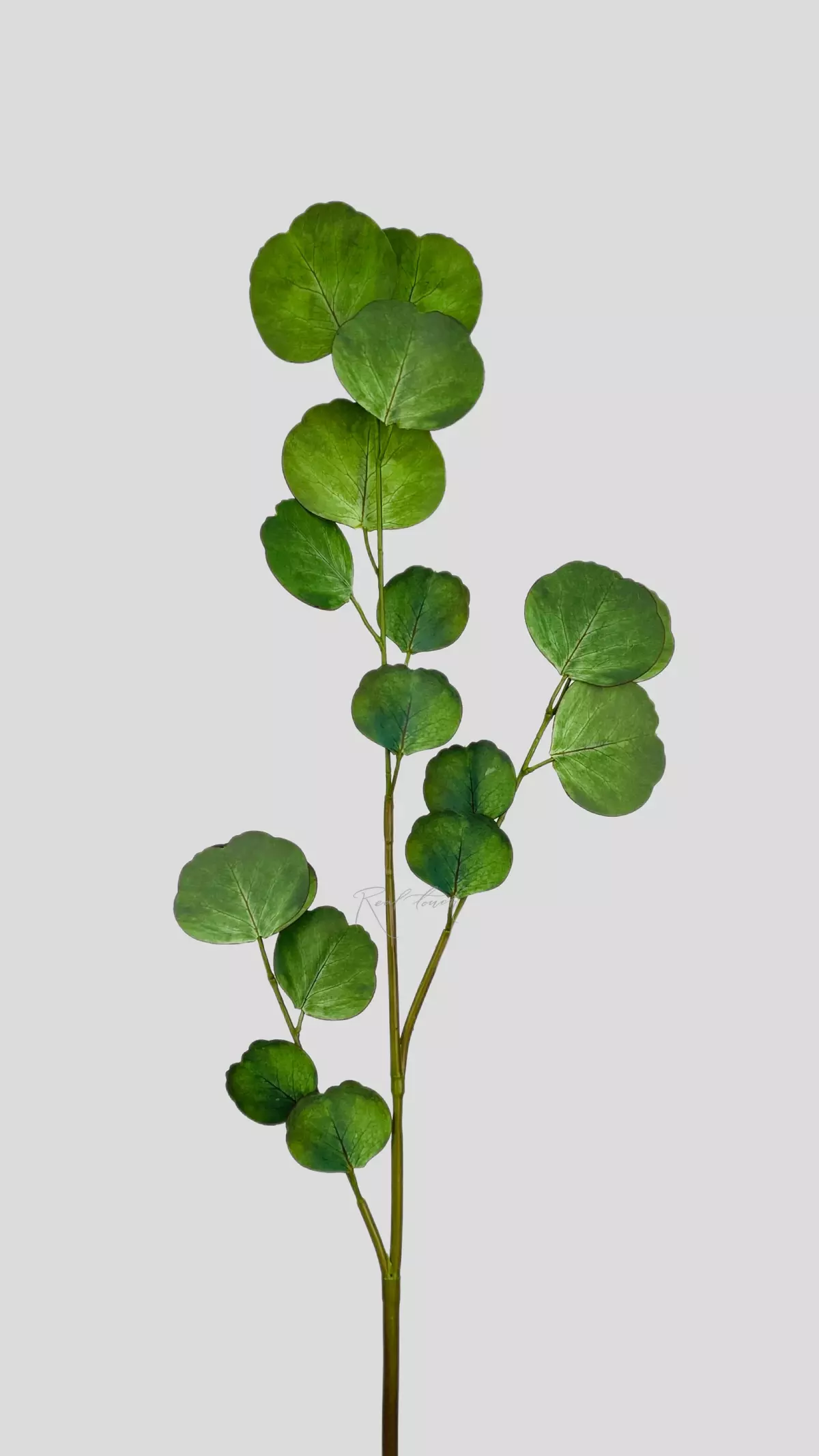 Real Touch Eucalyptus Silver Dollar small branch - light green