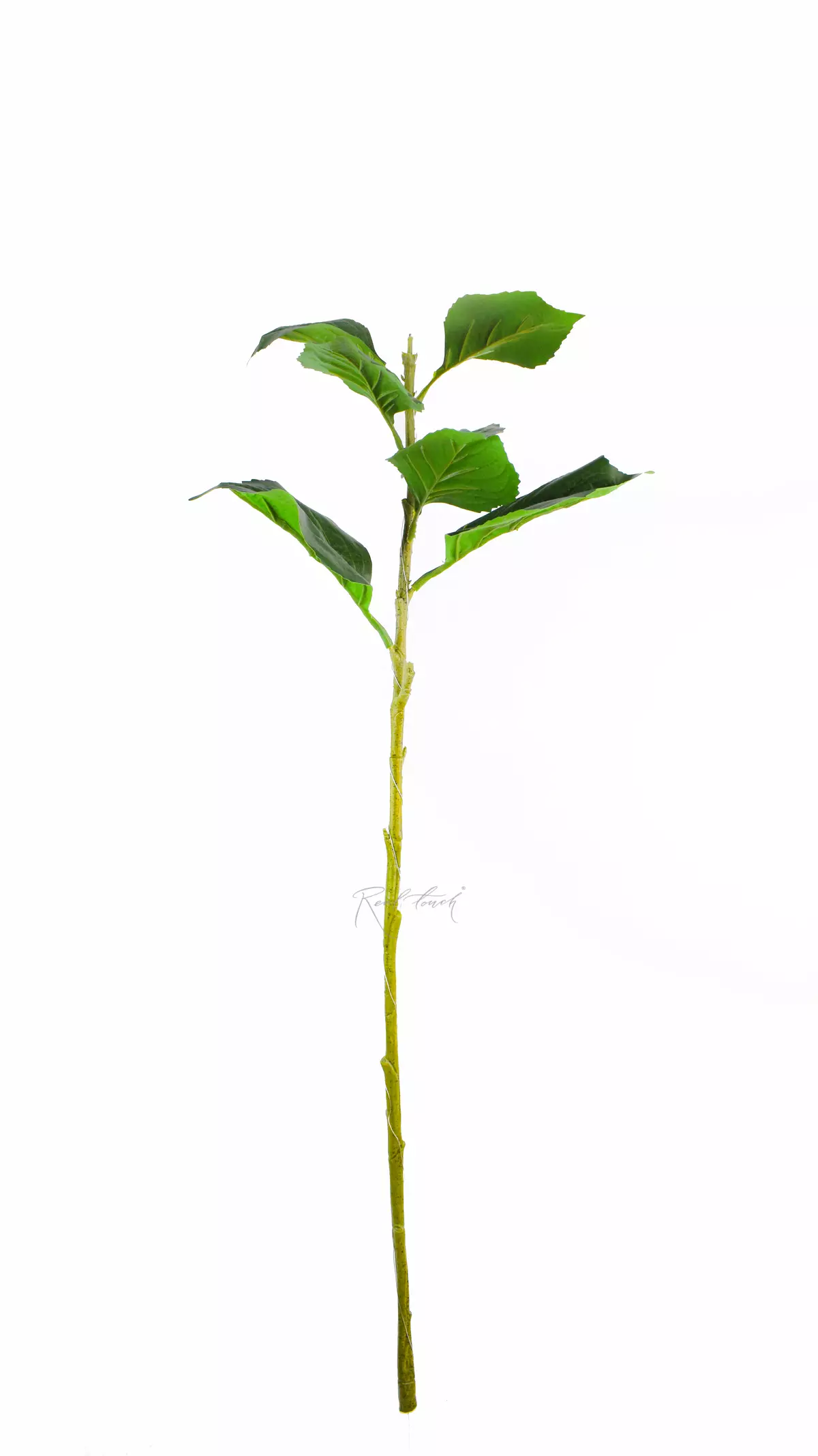 Hydrangea stem 36.6 inches - green