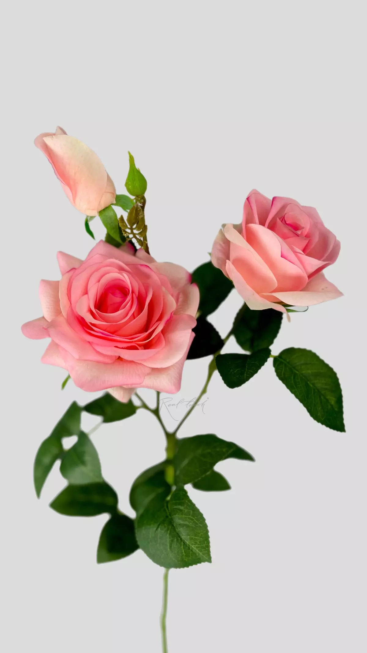 Real Touch Grand Rose 3+1 - pink