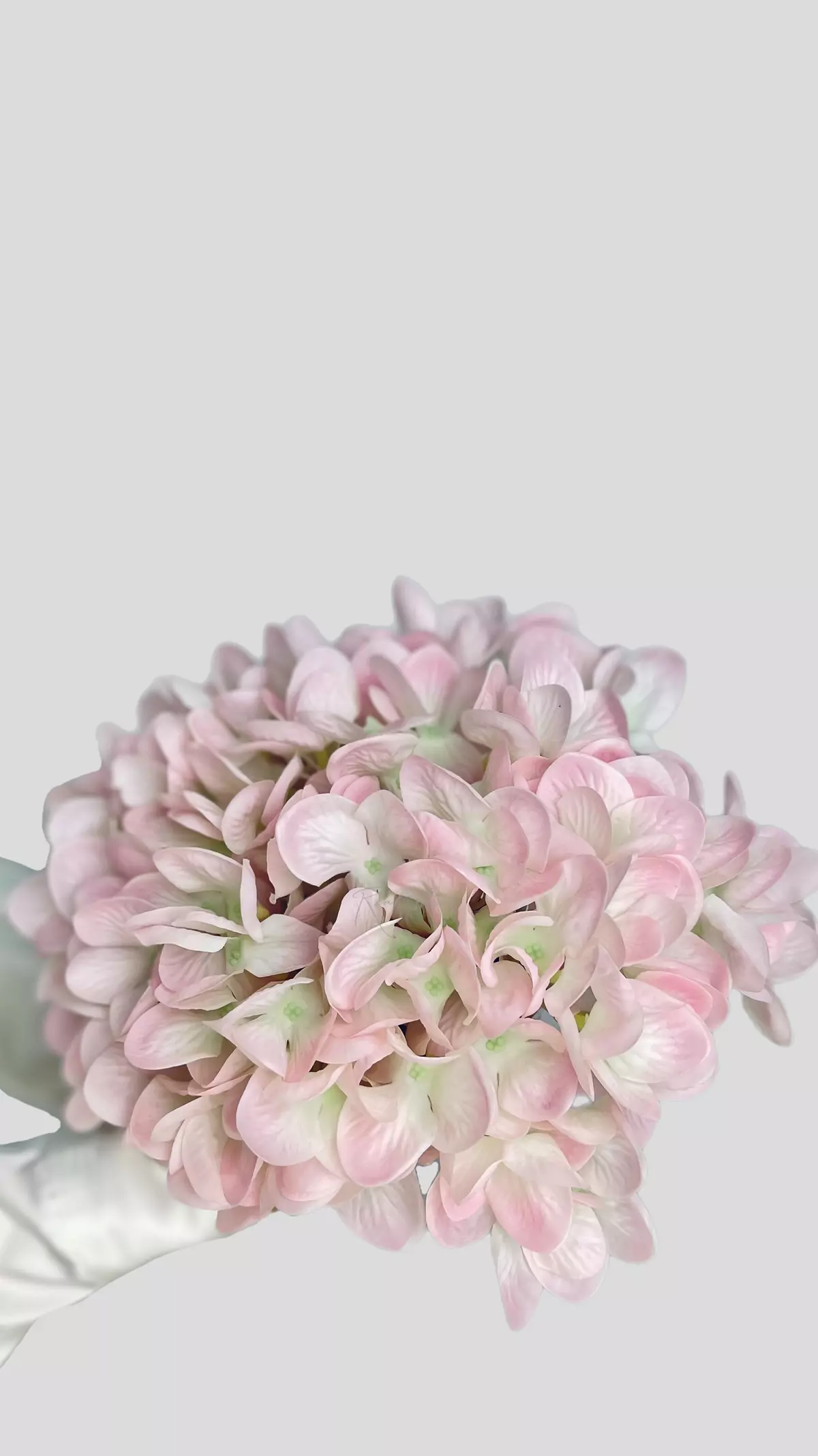 Real Touch Hydrangea Flower XL (without stem) - white pink 
