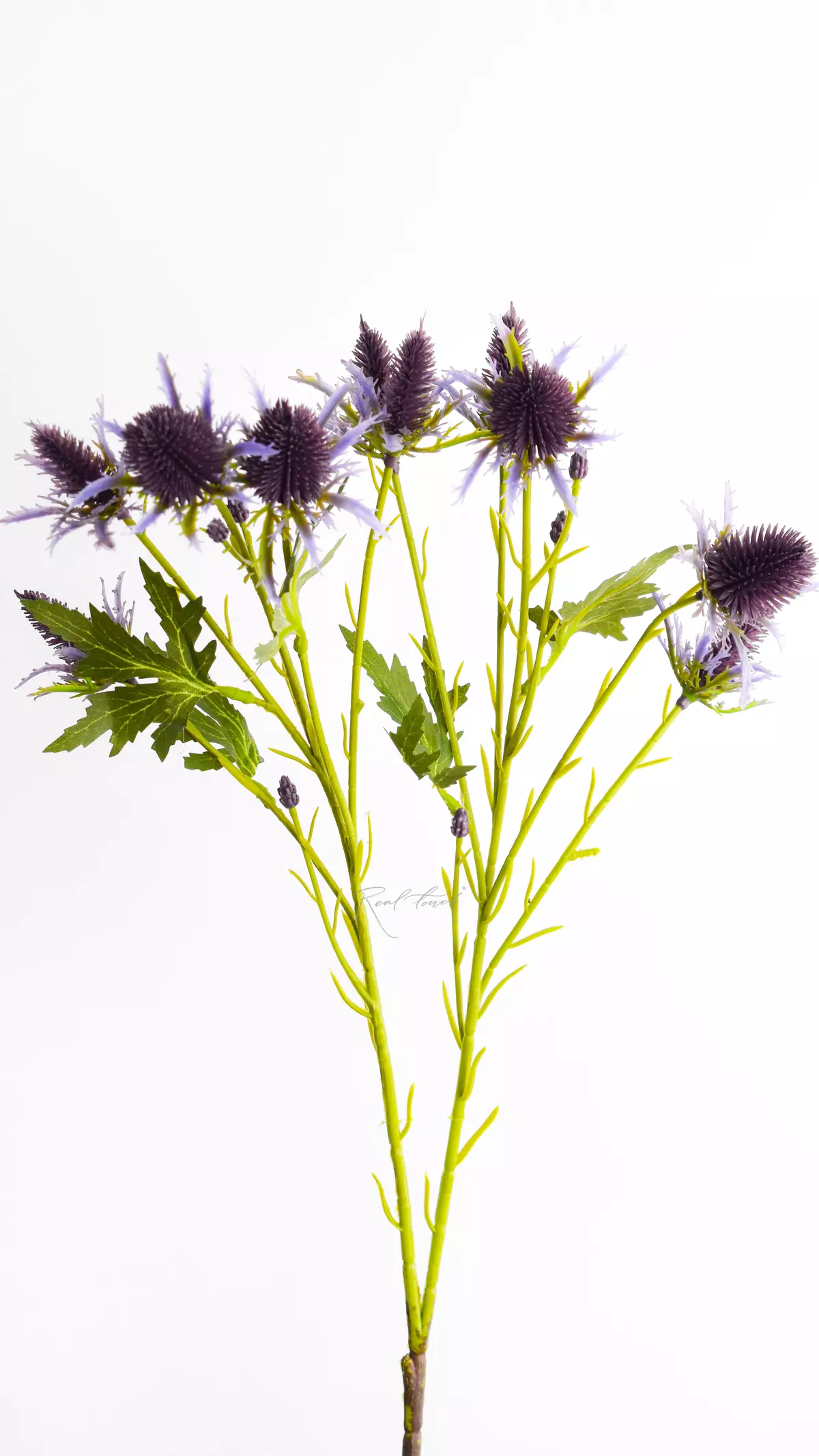 Real Touch Eriygium Supernova Sea Holly Flowers - smoky lilac