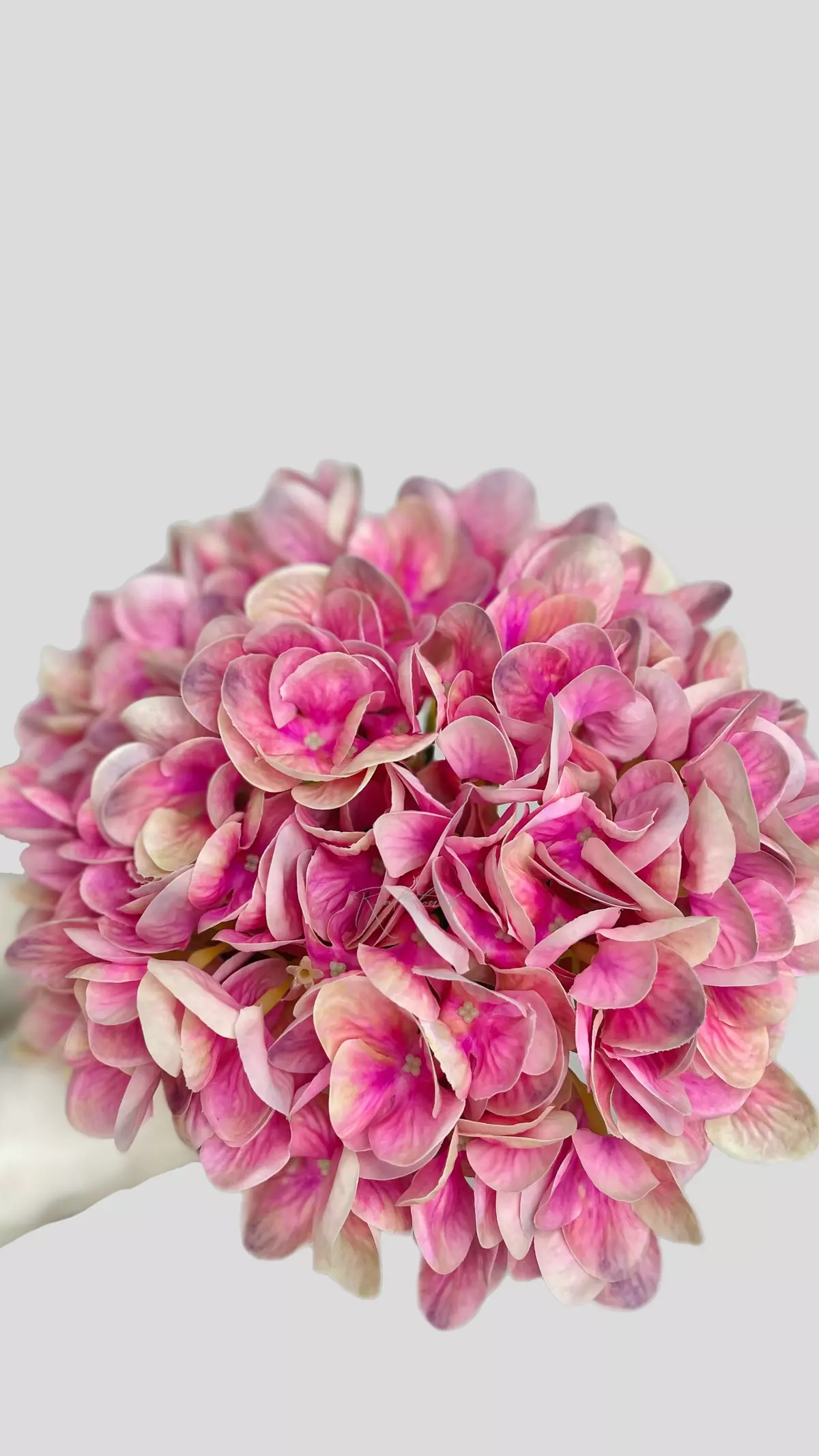Real Touch Hydrangea Flower XL (without stem) - bright pink