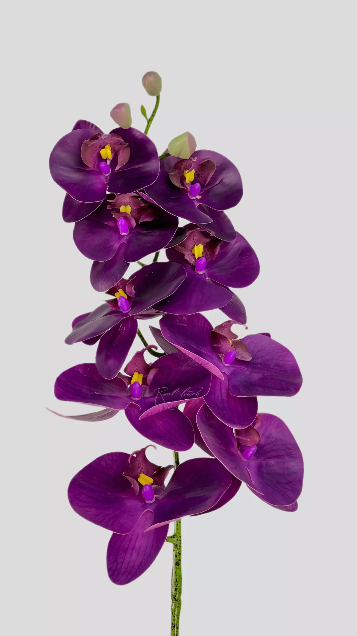 Real Touch Phalaenopsis Orchid (9 blooms) - dark purple