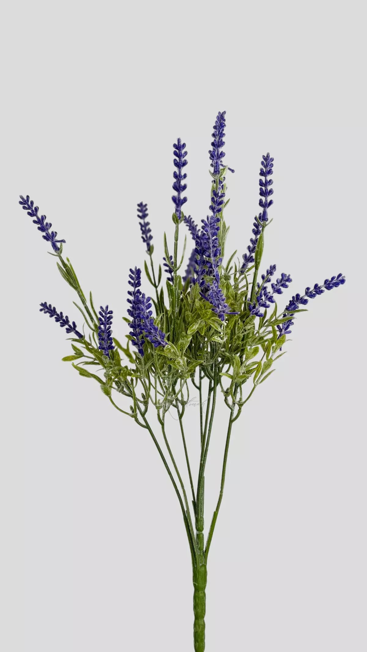 Real Touch Lavender - lilac