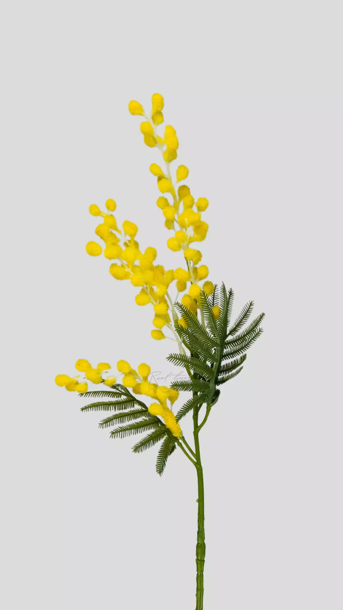 Faux Mimosa - yellow